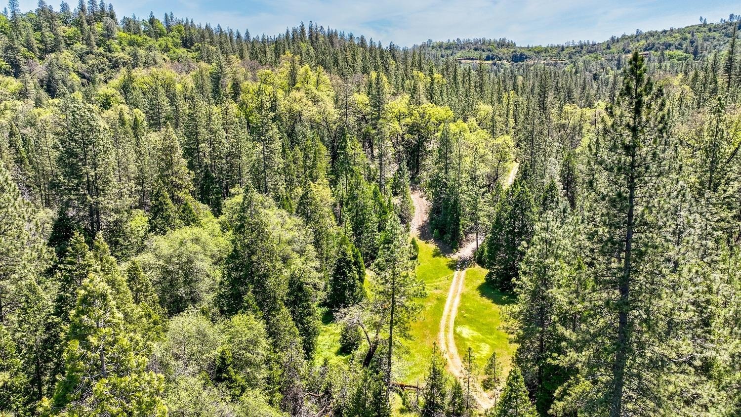 Mountain Ranch, California, 95246, United States, 1 Bedroom Bedrooms, ,1 BathroomBathrooms,Residential,For Sale,1921601