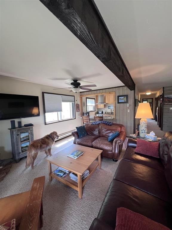 Mt. Crested Butte, Colorado, 81225, United States, 3 Bedrooms Bedrooms, ,2 BathroomsBathrooms,Residential,For Sale,1907558