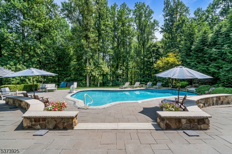 Bernardsville Boro, New Jersey, 07924, United States, 5 Bedrooms Bedrooms, ,8 BathroomsBathrooms,Residential,For Sale,1910791