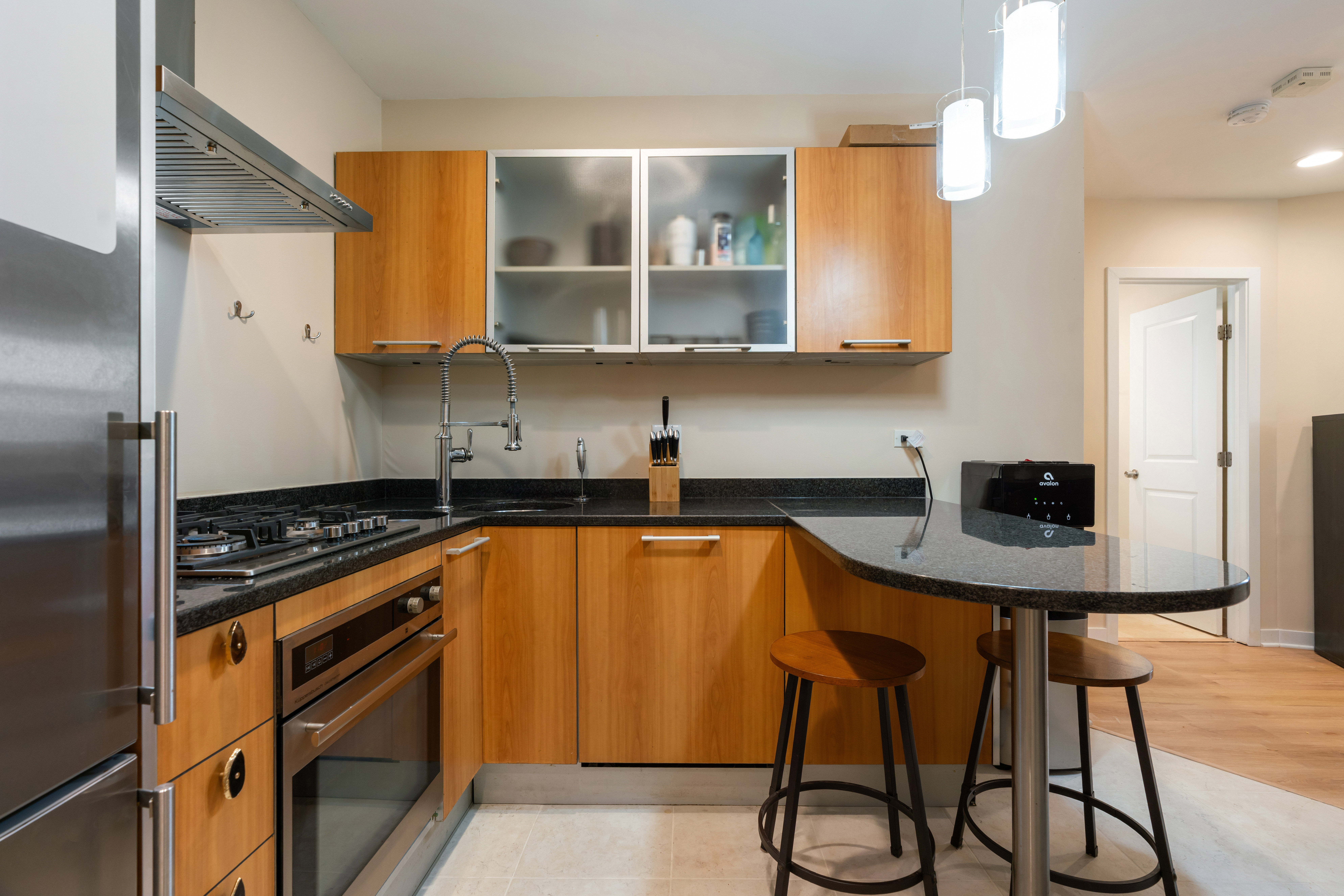  South-facing 2-bedroom, 1-bath Condo in West Bucktown/Logan Square - 物件實景