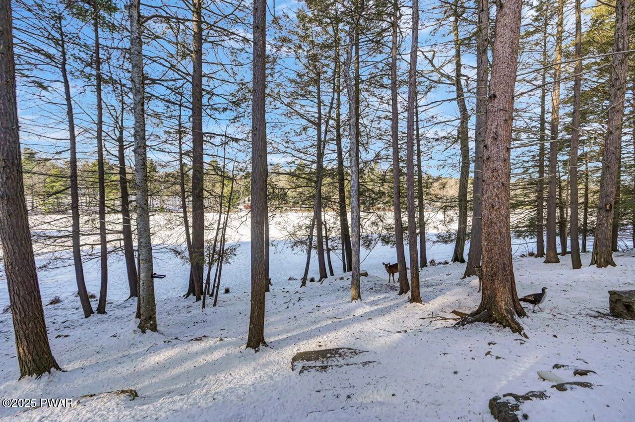 Dingmans Ferry, Pennsylvania, 18328, United States, 2 Bedrooms Bedrooms, ,1 BathroomBathrooms,Residential,For Sale,2006132