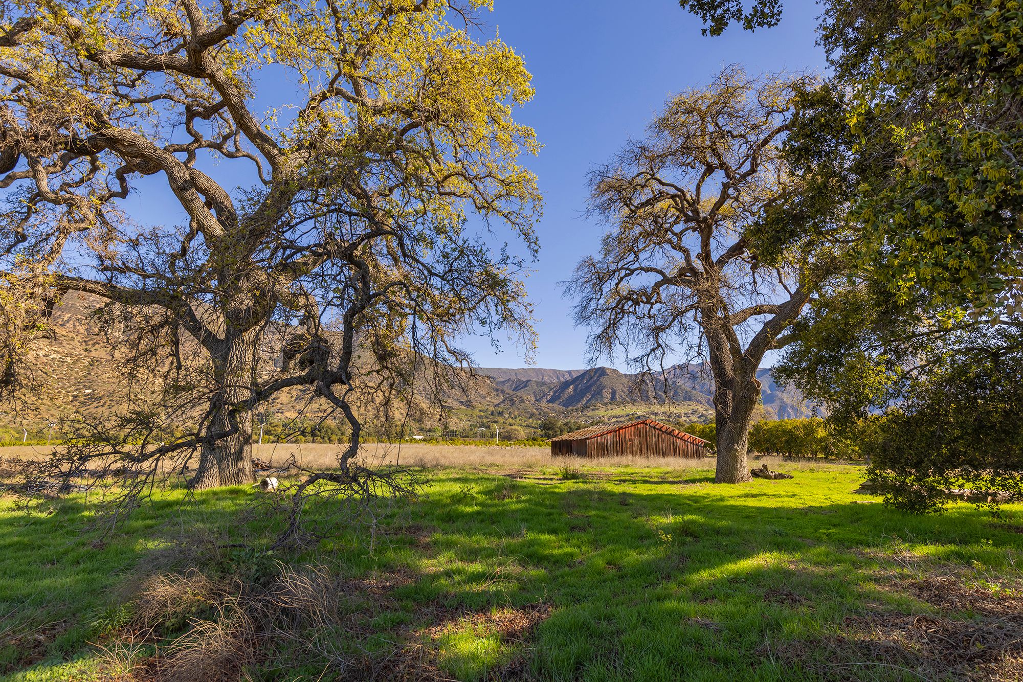  1201 Grand Avenue, Ojai, CA 93023 - 物件實景