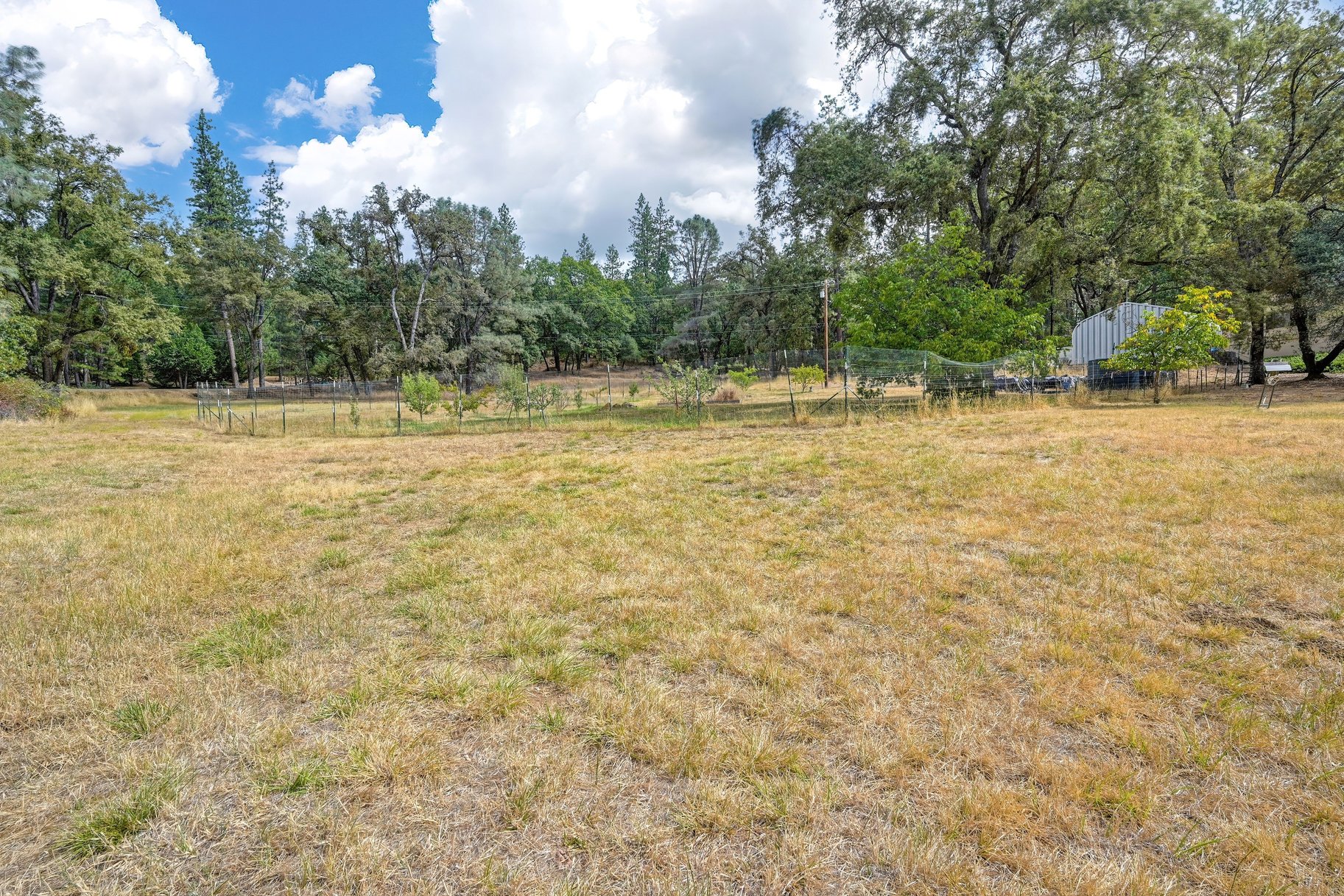  Spacious Grass Valley Country Property, 5 acres, shop and pond - 物件實景