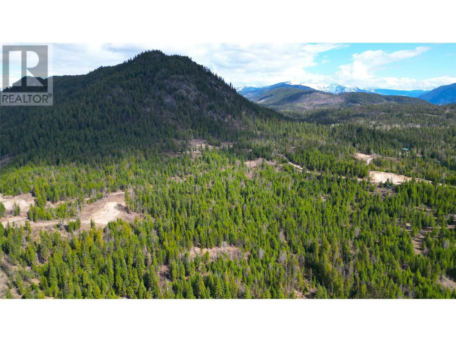 EDGEWOOD, British Columbia, V0G 1J0, CA, ,Residential,For Sale,1837300