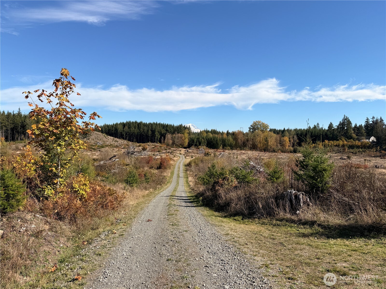 Rainier, Washington, 98576, United States, ,Land,For Sale,1998419