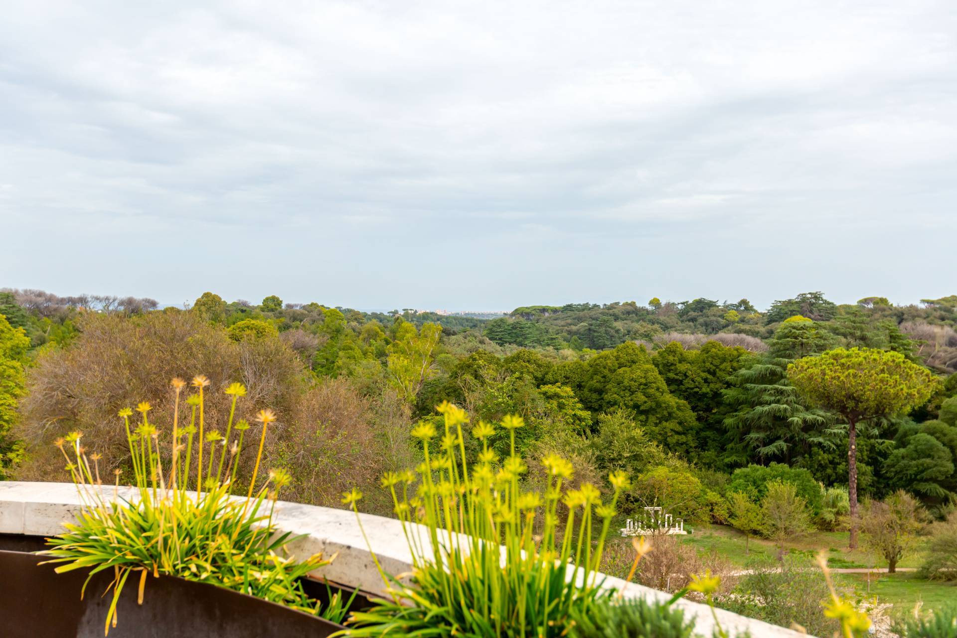 Roma, Roma, 00100, IT, 3 Bedrooms Bedrooms, ,4 BathroomsBathrooms,Residential,For Sale,1949736