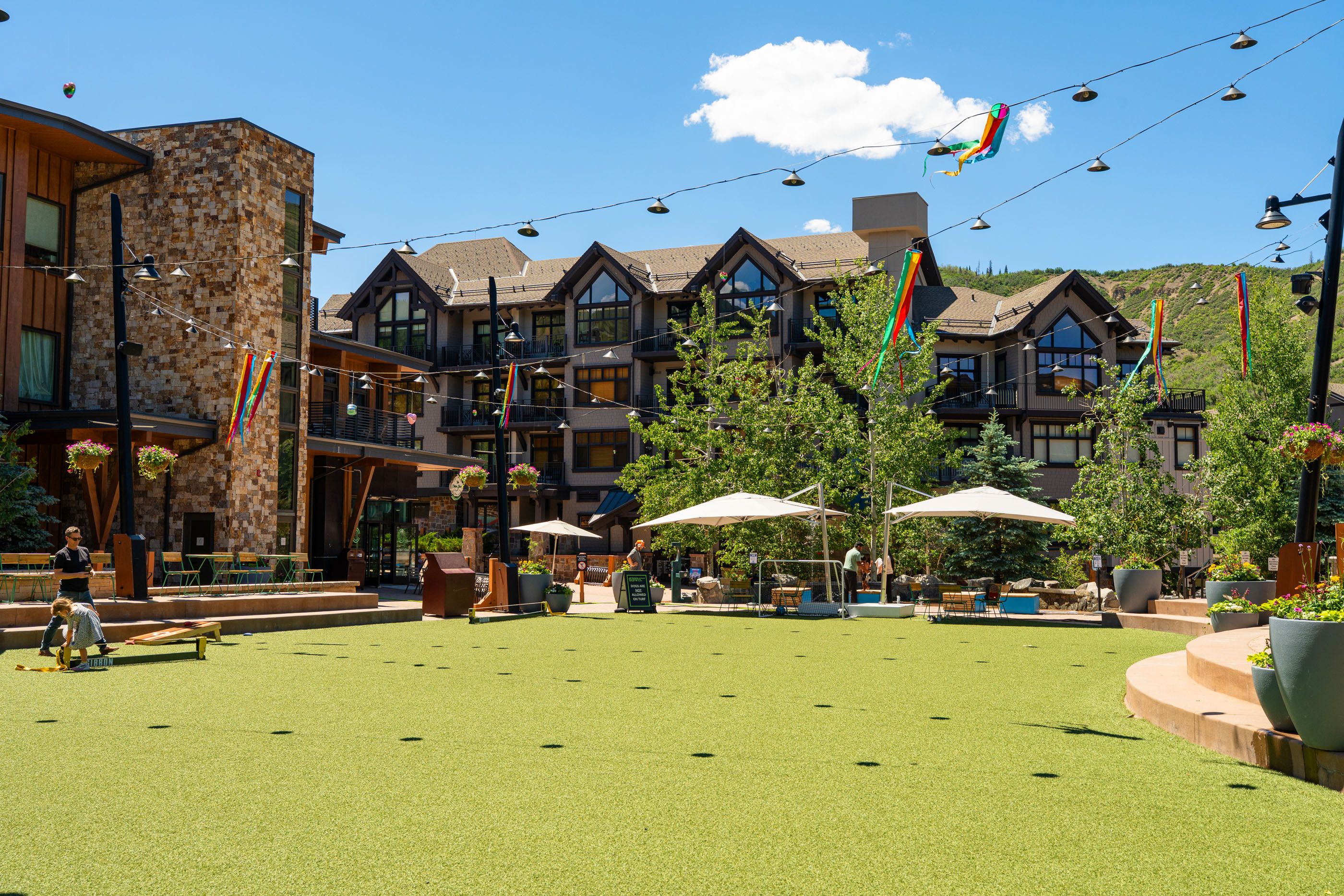  110 Carriage Way, Snowmass Village, CO, 81615 - 物件實景