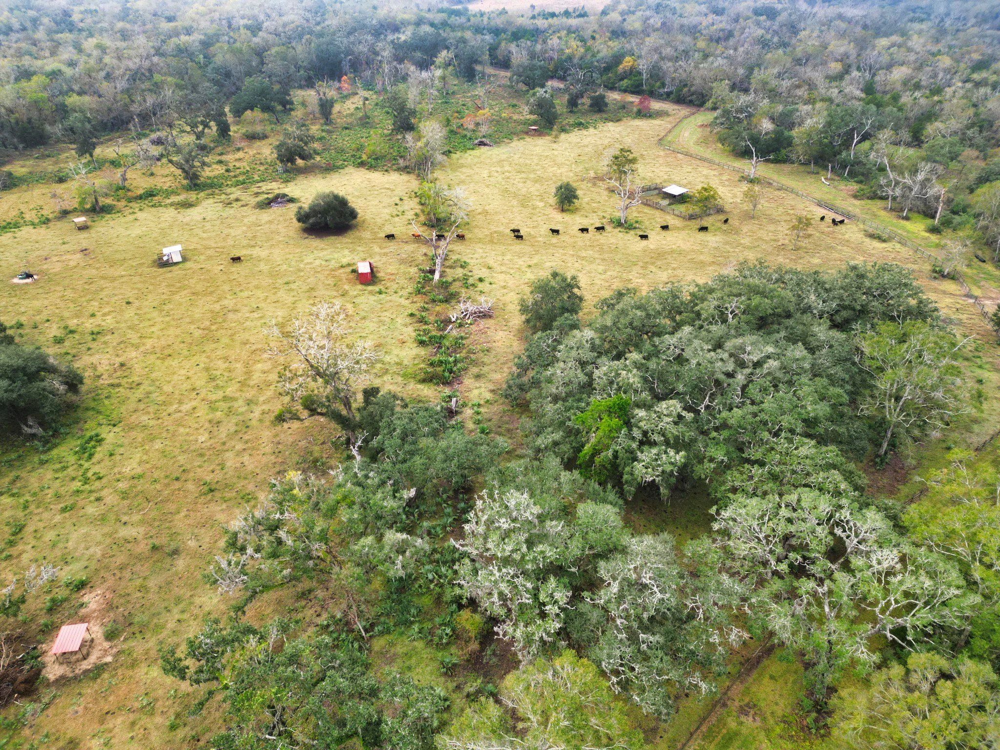 Brazoria, Texas, 77422, United States, 6 Bedrooms Bedrooms, ,6 BathroomsBathrooms,Residential,For Sale,1978625