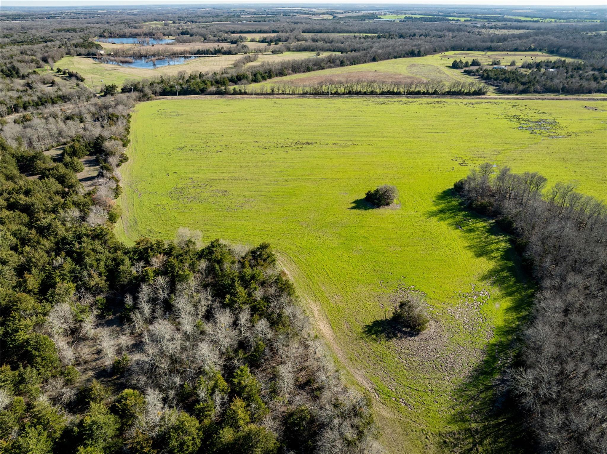 Roxton, Texas, 75477, United States, ,Residential,For Sale,1872354