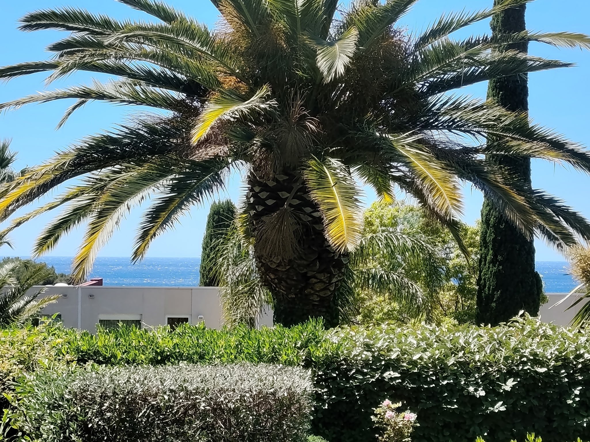  Cassis – Apartment with Garden and Sea View Glimpse Near the Port - 物件實景