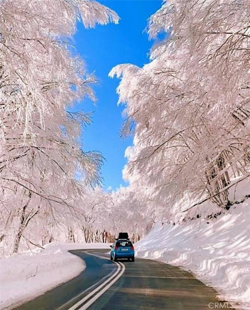 Crestline, California, 92325, United States, 3 Bedrooms Bedrooms, ,3 BathroomsBathrooms,Residential,For Sale,1939117