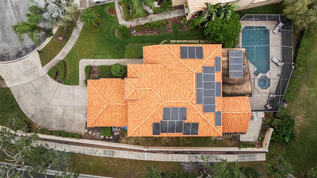 Tampa, Florida, 33647, United States, 4 Bedrooms Bedrooms, ,4 BathroomsBathrooms,Residential,For Sale,1983228