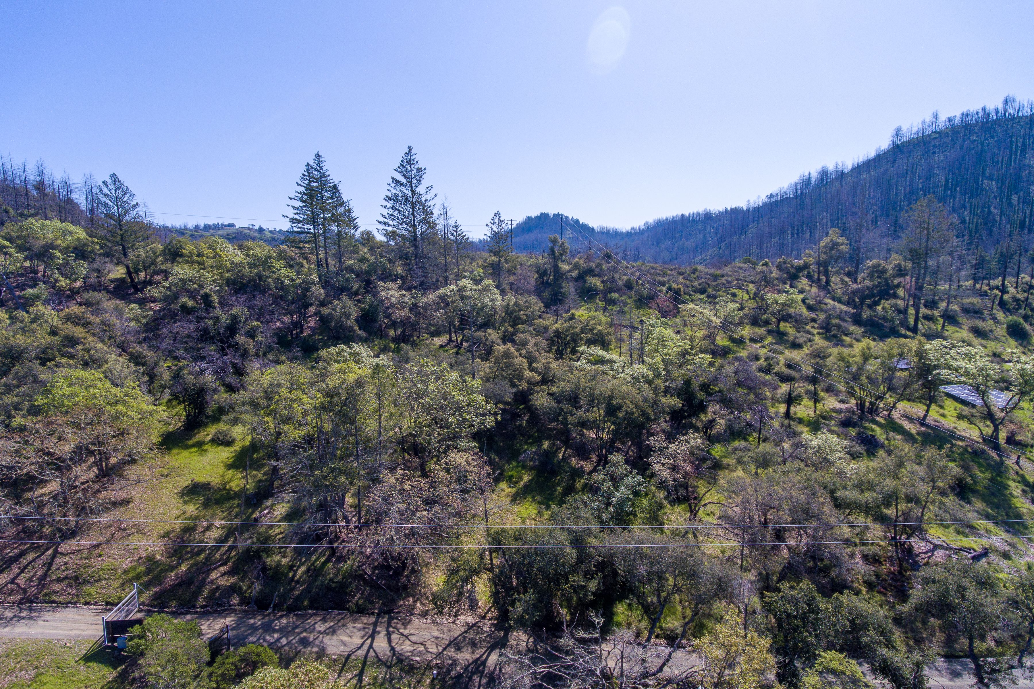  7935 St Helena Road - 物件實景