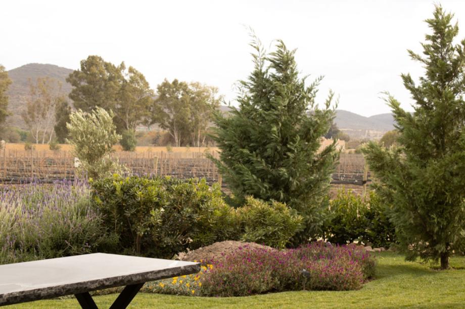 Los Remedios, Comonfort, Guanajuato, 38204, Mexico, 1 Bedroom Bedrooms, ,Residential,For Sale,Los Remedios,1627766