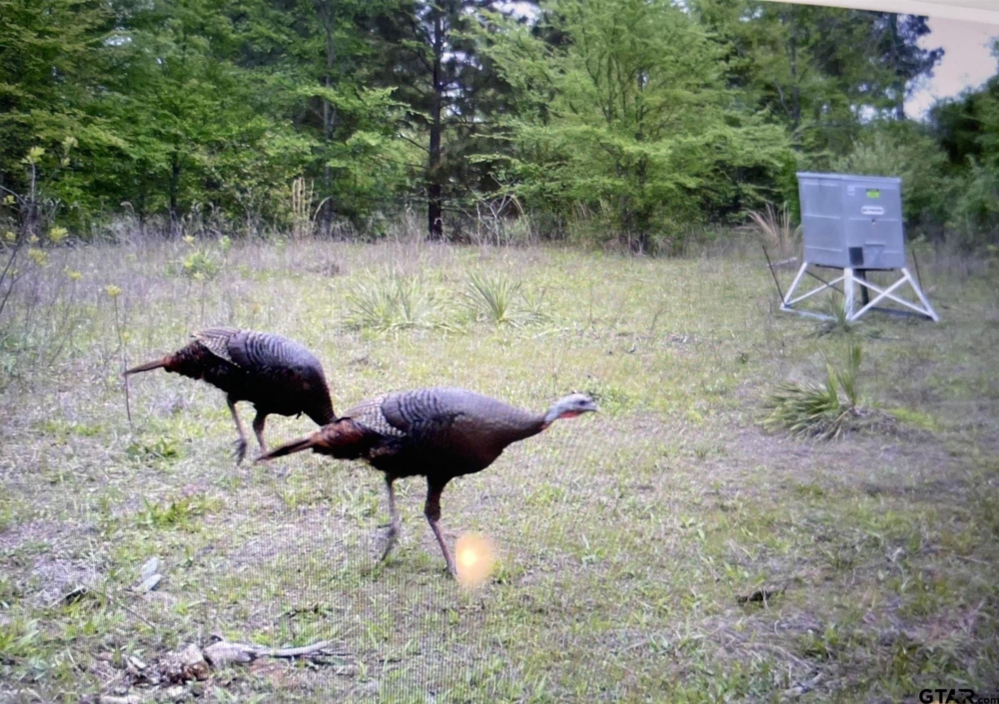 Lone Star, Texas, 75668, United States, 2 Bedrooms Bedrooms, ,1 BathroomBathrooms,Residential,For Sale,1979709