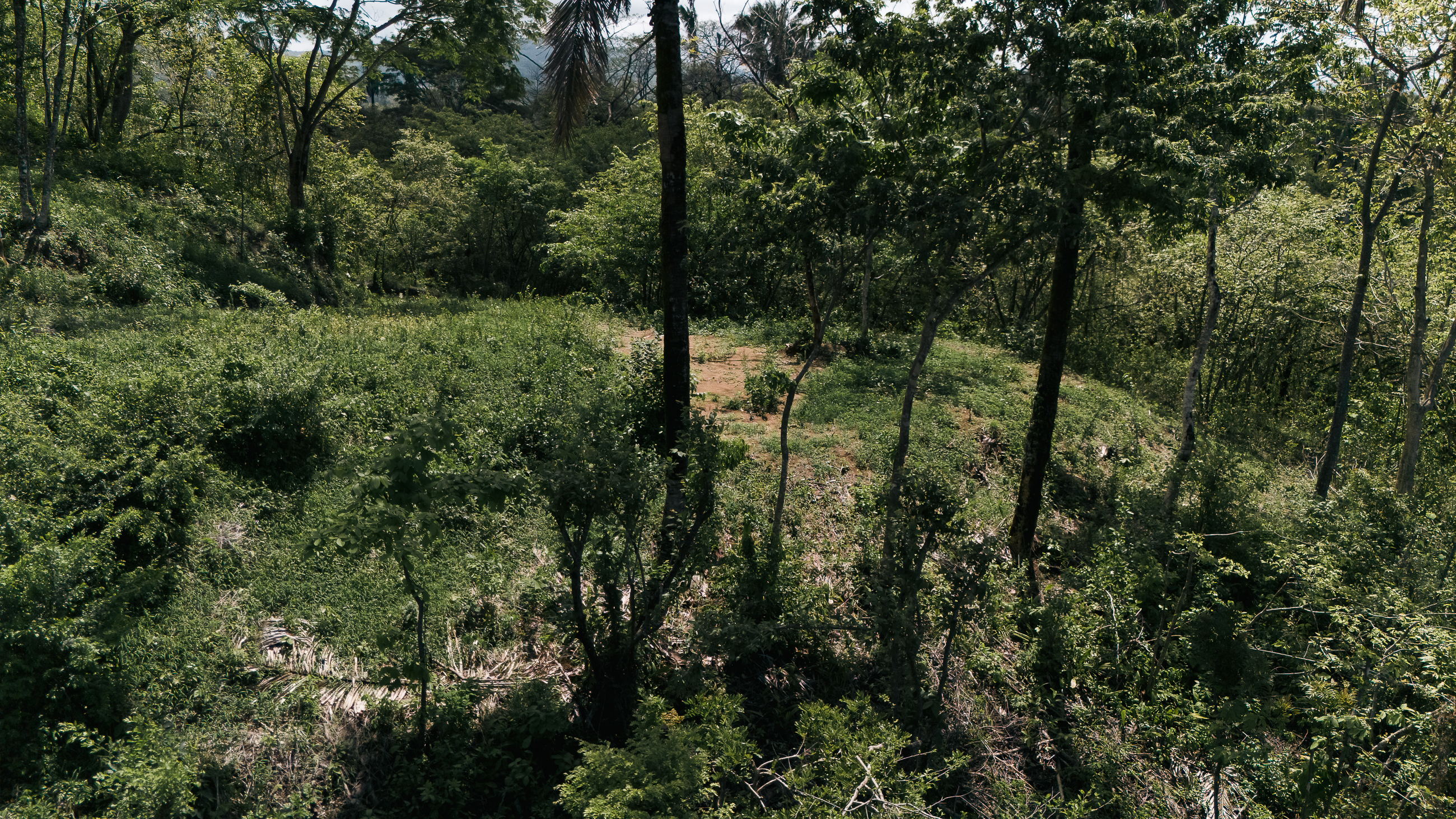 Nosara, Guanacaste, CR, ,Land,For Sale,1669008