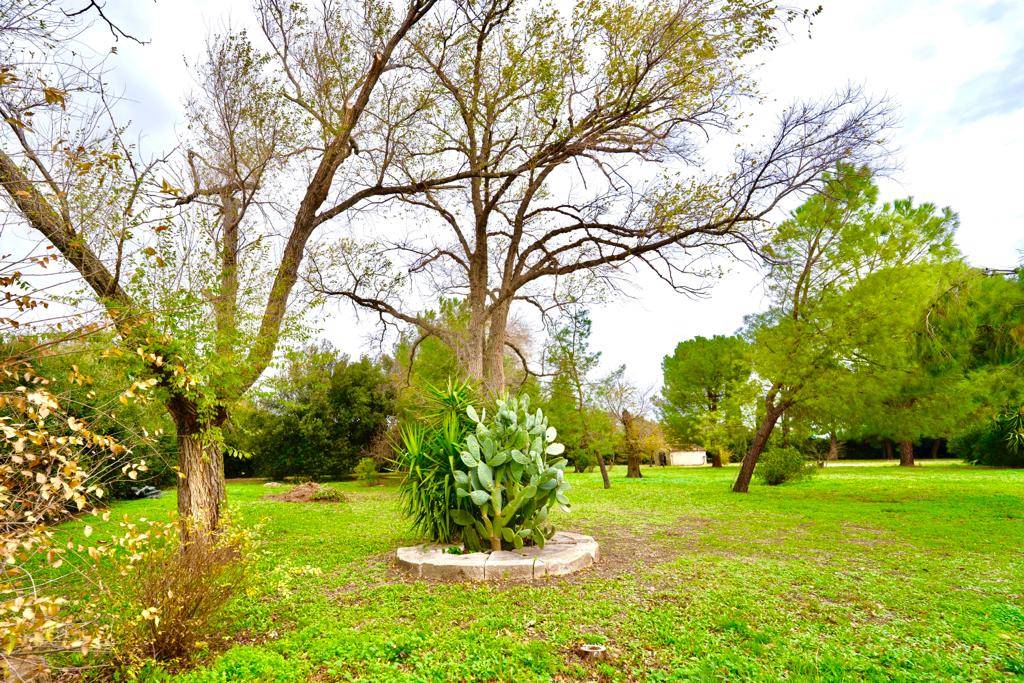 Via Pietramontecorvino, Lucera, Foggia, 71036, IT, 5 Bedrooms Bedrooms, ,5 BathroomsBathrooms,Residential,For Sale,Via Pietramontecorvino,1668476