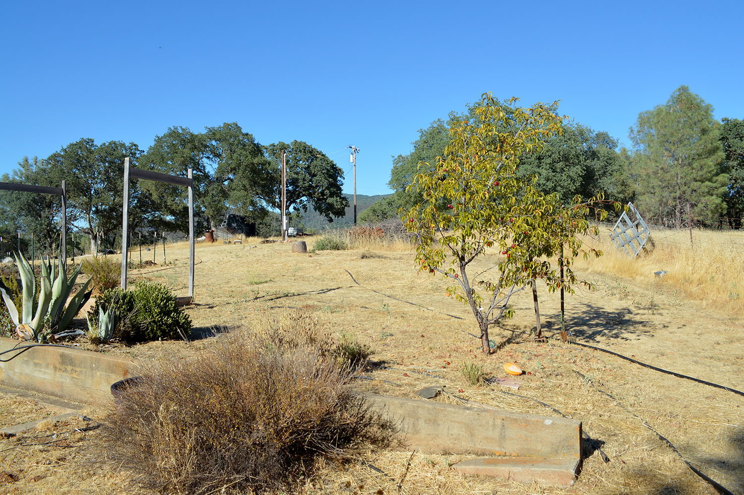 Kelseyville, California, 95451, United States, 2 Bedrooms Bedrooms, ,2 BathroomsBathrooms,Residential,For Sale,1856592
