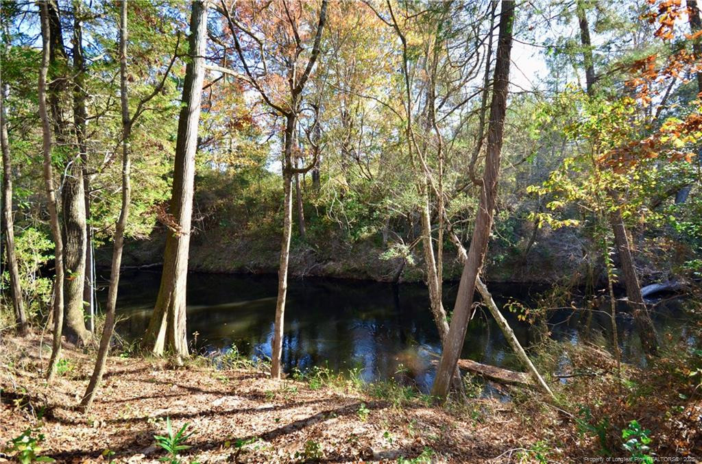 Spring Hope, North Carolina, 28390, United States, 5 Bedrooms Bedrooms, ,4 BathroomsBathrooms,Residential,For Sale,1993285