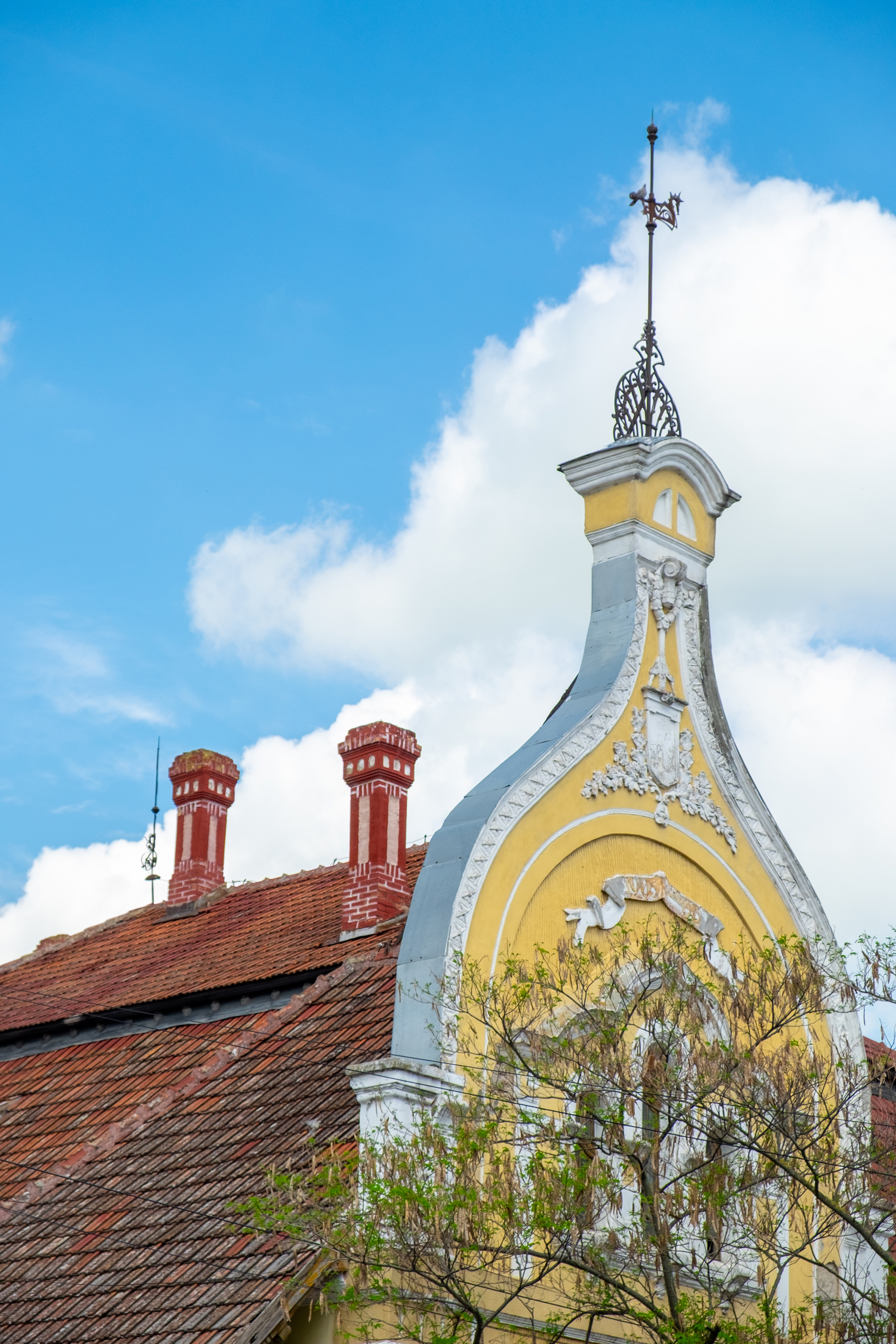  Ferch Manor - History and Tradition near Timioara - 物件實景