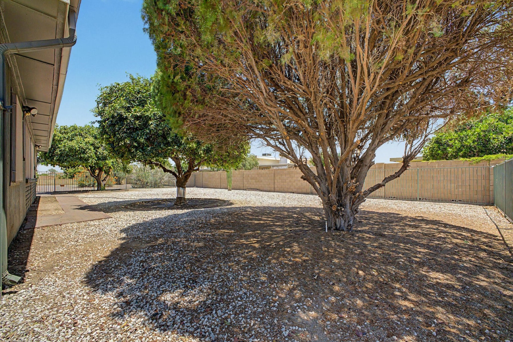  9310 W Glen Oaks Circle N¦Sun City, AZ - 物件實景