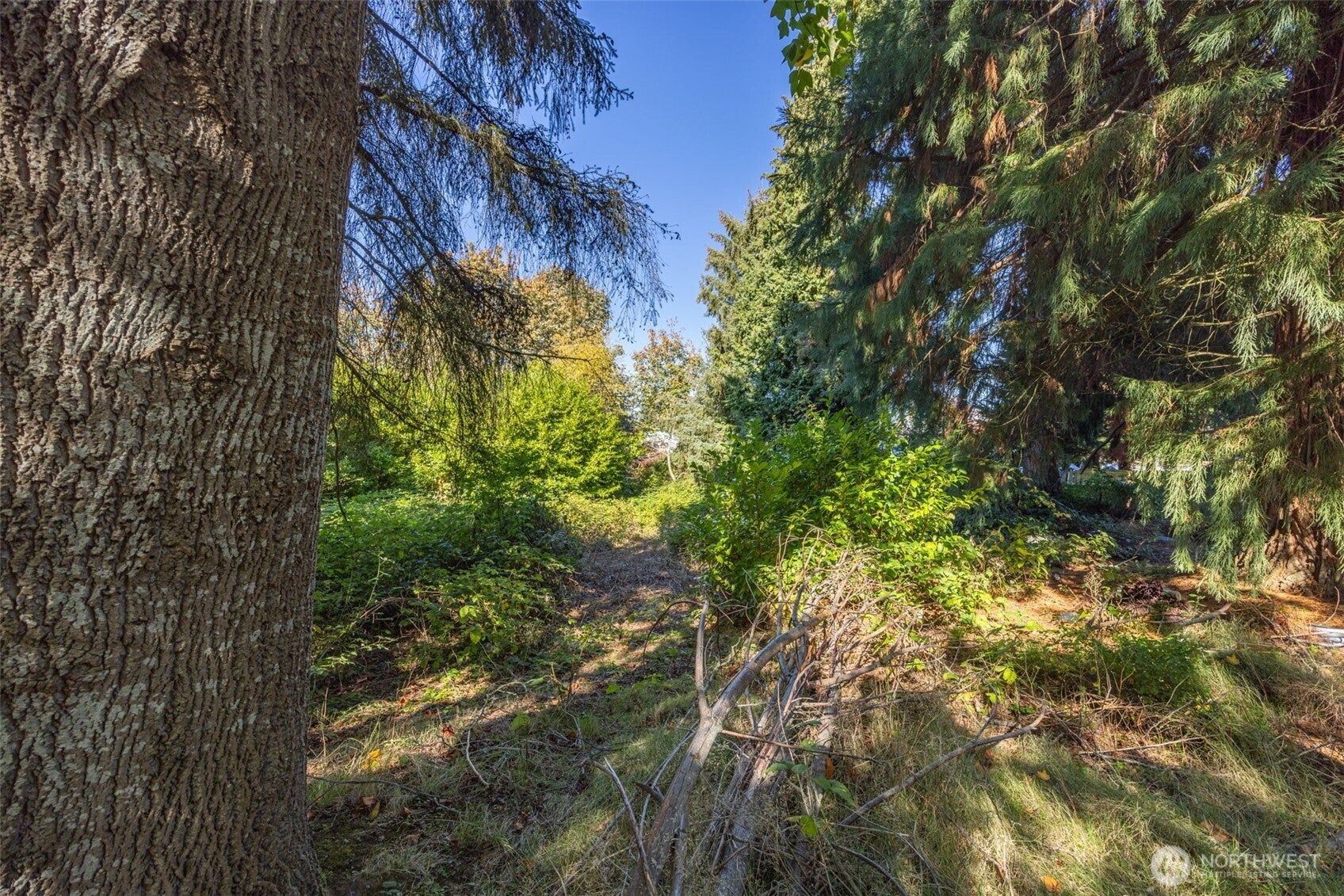 Mukilteo, Washington, 98275, United States, ,Land,For Sale,2006030