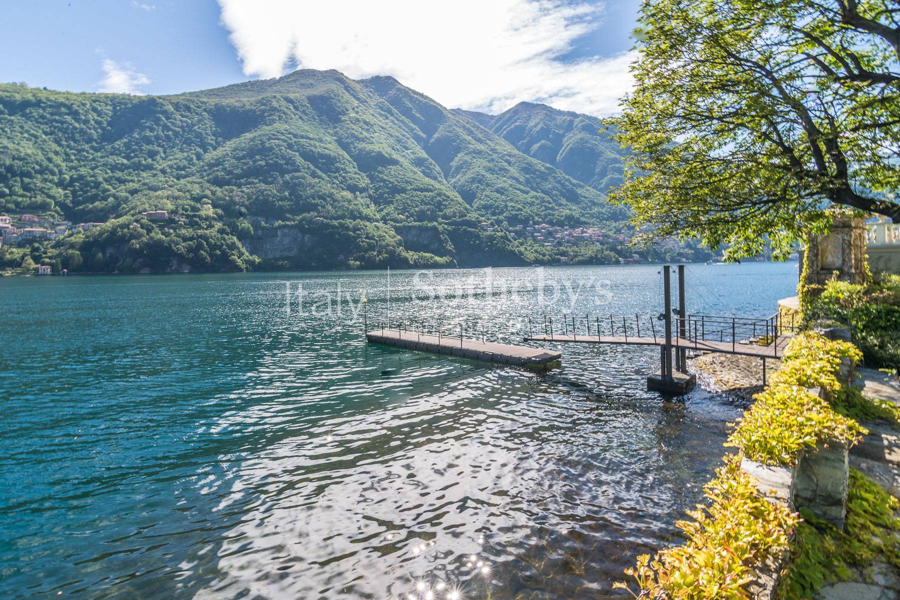  Gorgeous lakefront trophy estate - 物件實景