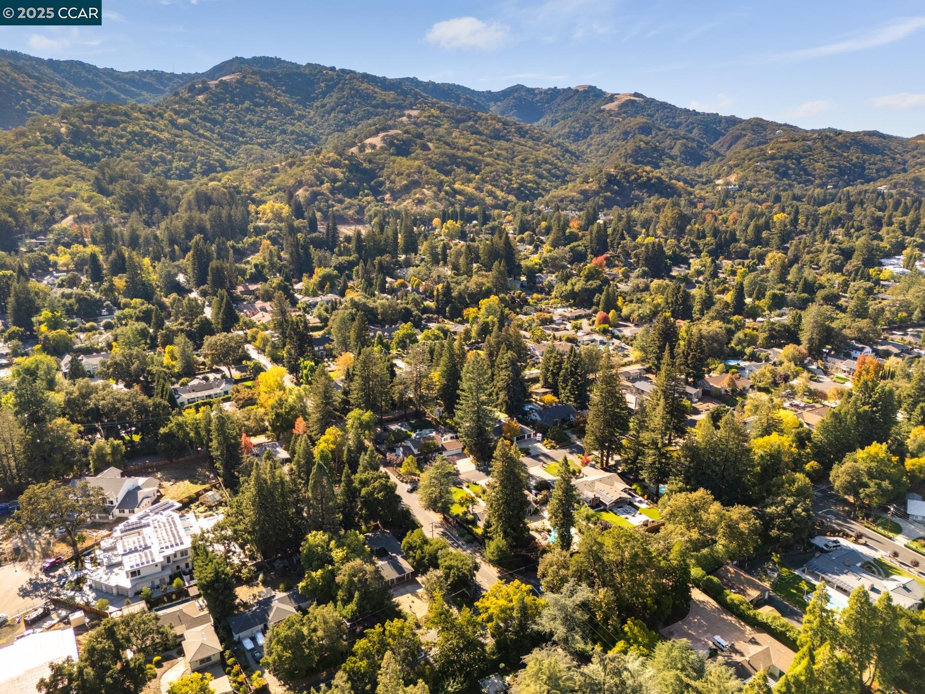 Alamo, California, 94507, United States, ,Land,For Sale,1998959