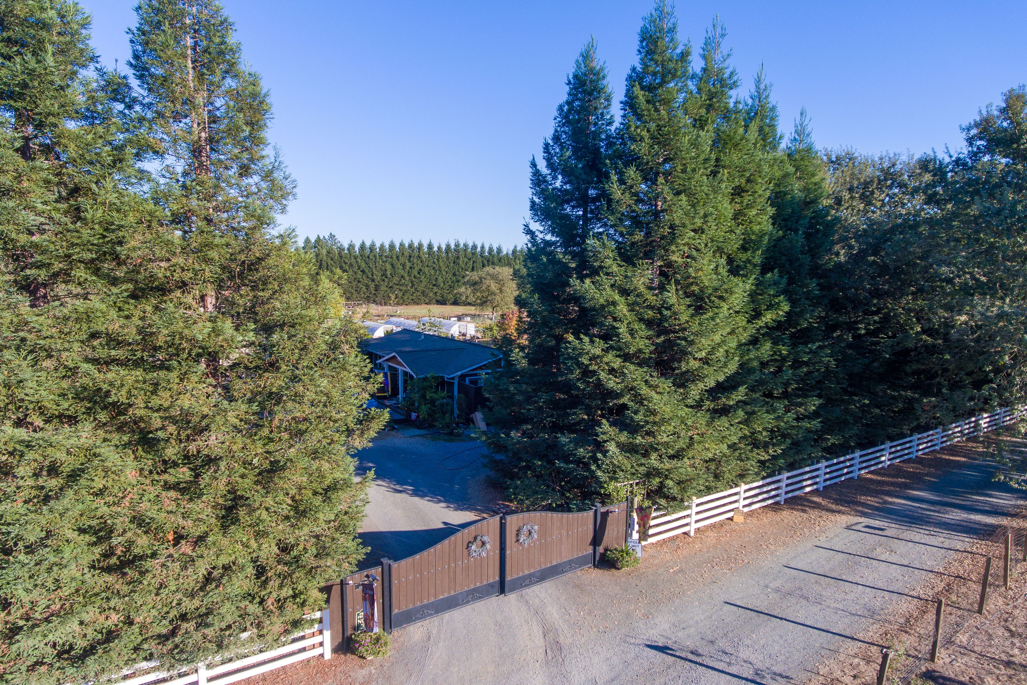  3290 Somers Street, Santa Rosa - 物件實景