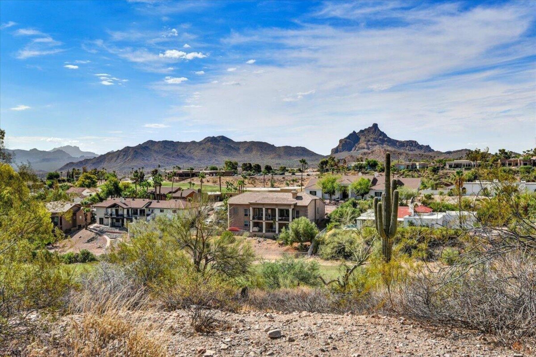  10806 N Cherry Hills Court¦Fountain Hills, AZ - 物件實景