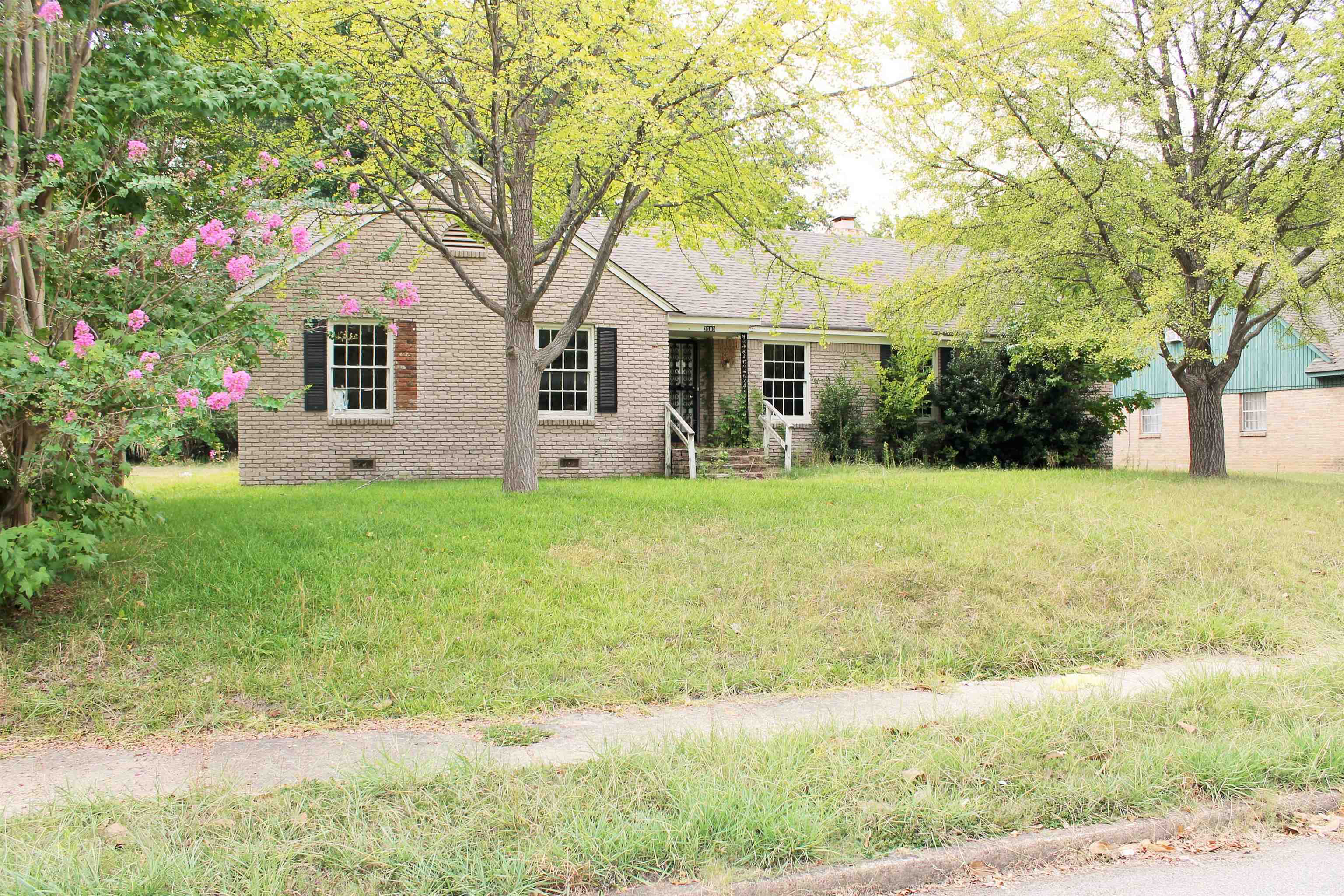 Birchleaf Rd, Memphis, TN 38116 #1