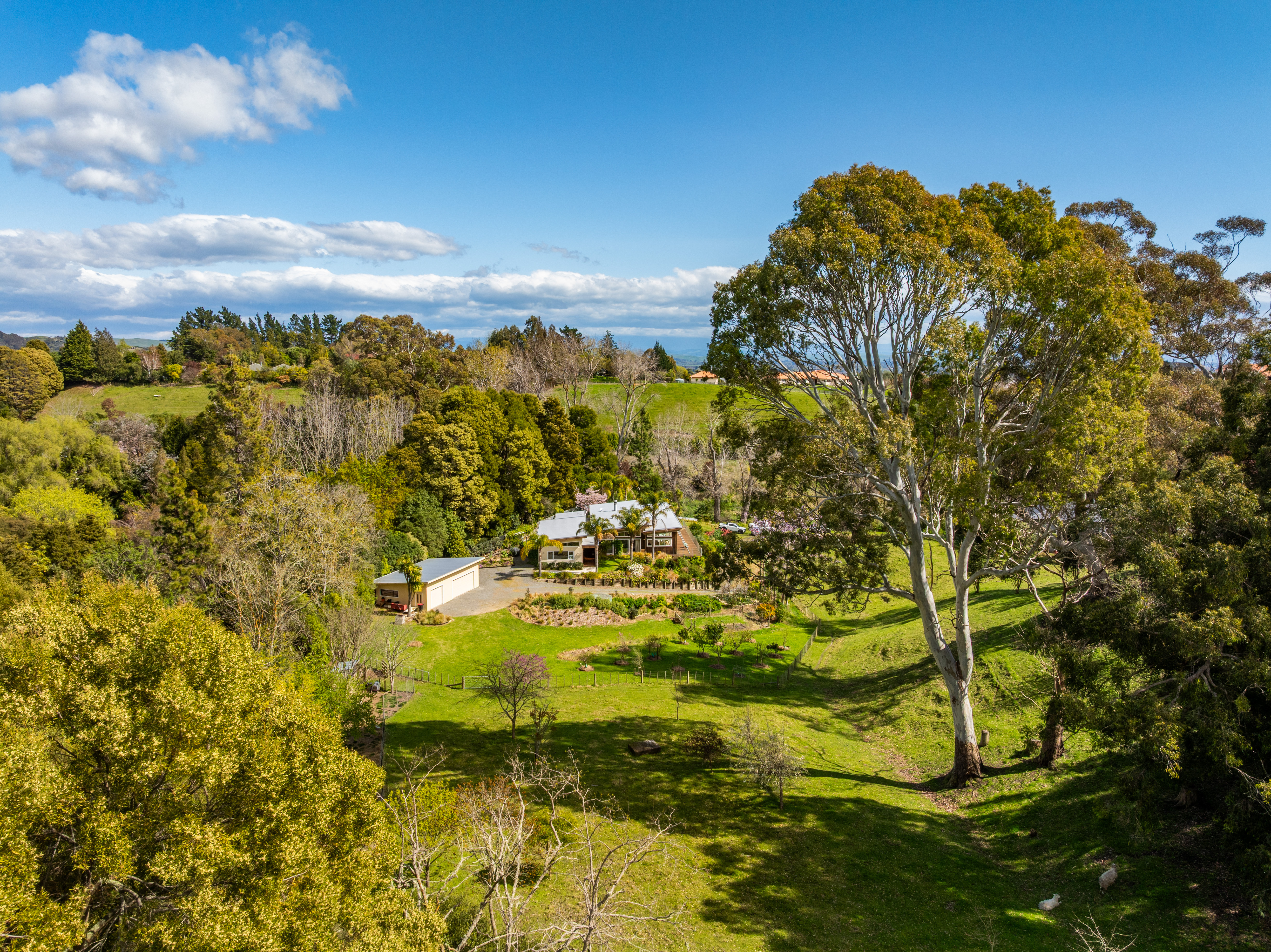  139 Tauroa Road, Havelock North - 物件實景