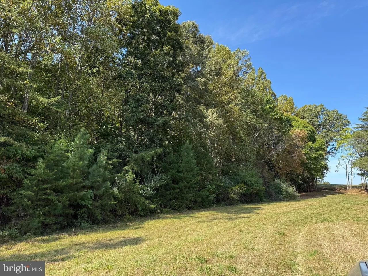 Appomattox, Virginia, 24522, United States, ,Land,For Sale,1982903