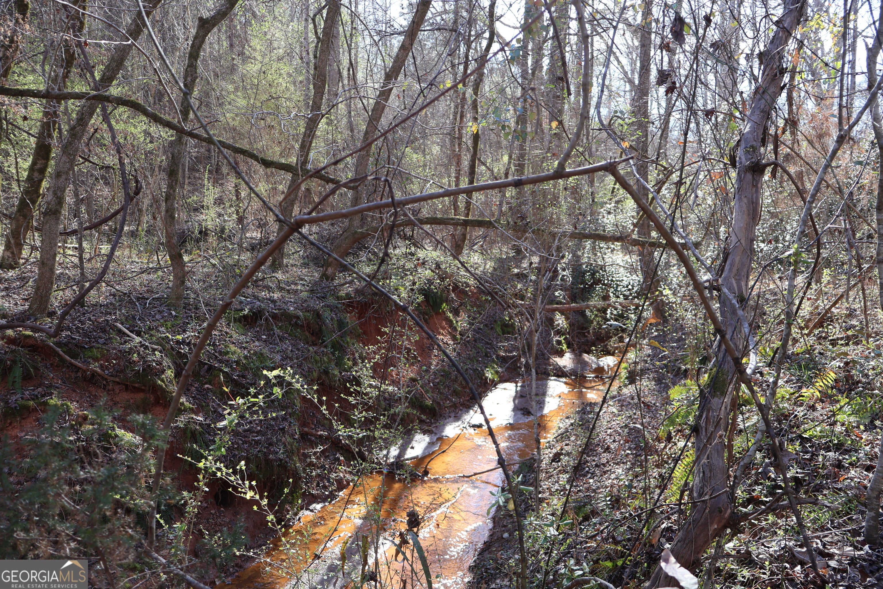 Forsyth, Georgia, 31029, United States, ,Land,For Sale,1858913