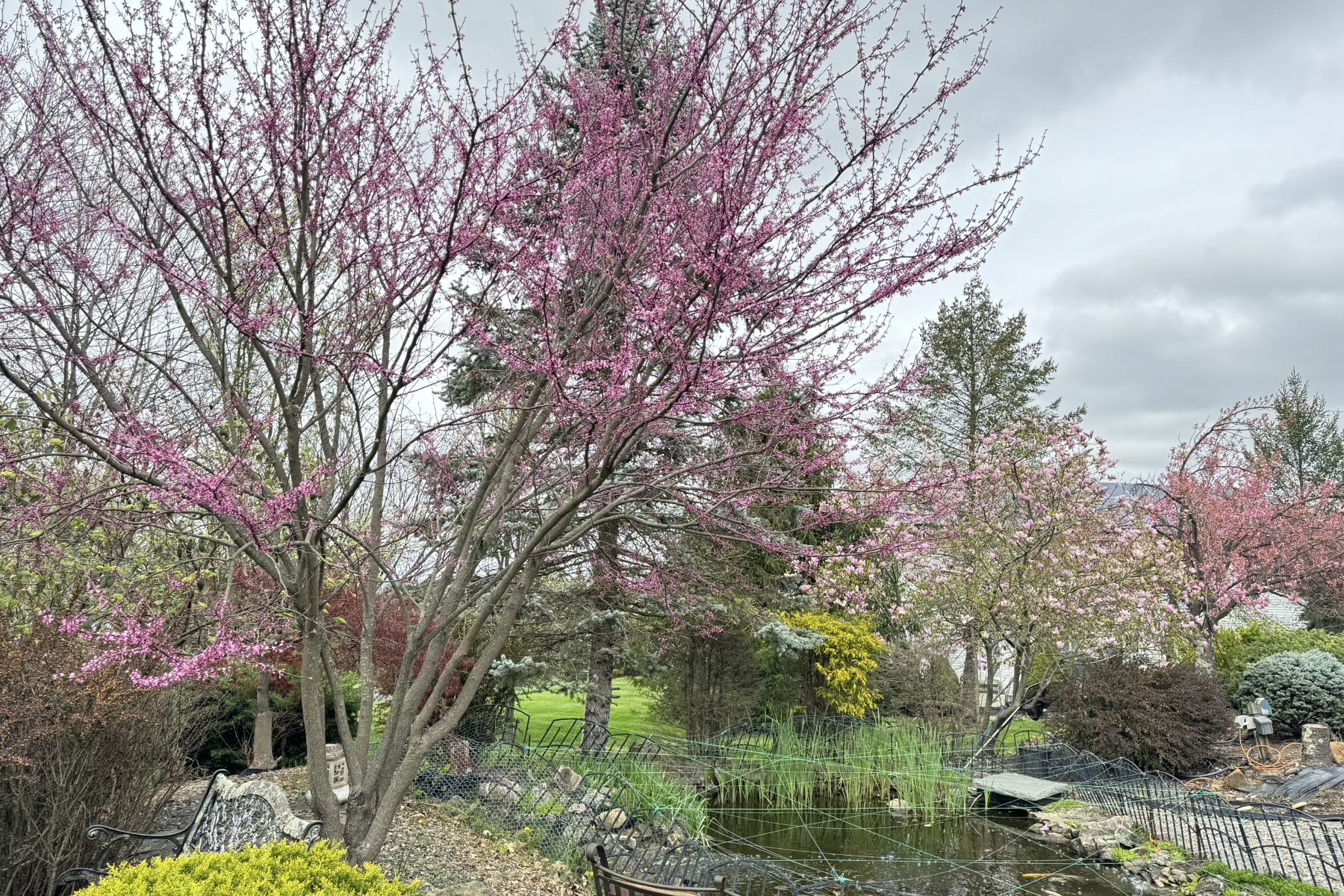  Spacious and Inviting Layout - 物件實景