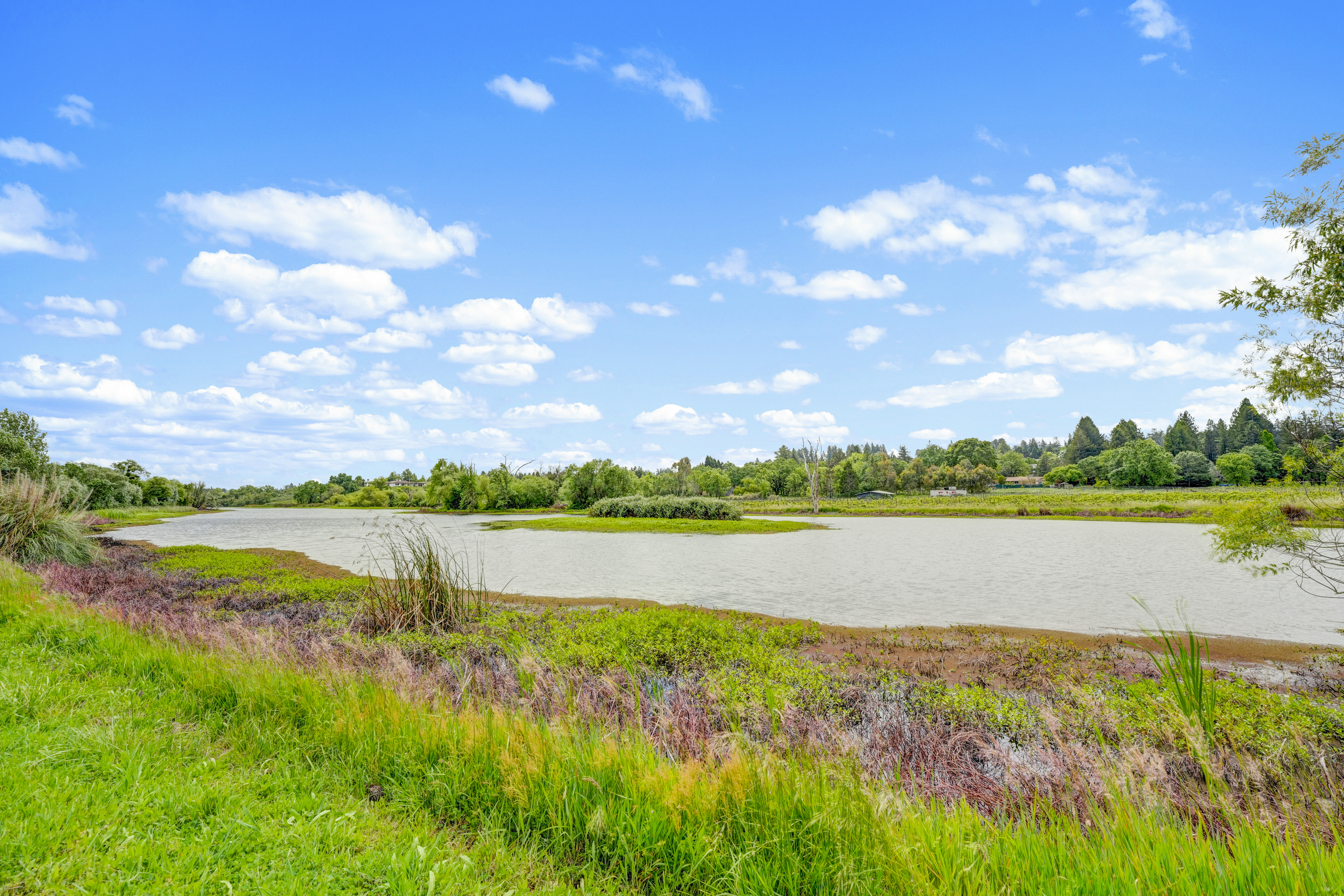  9700 Mill Station Road, Sebastopol, CA 95472 - 物件實景