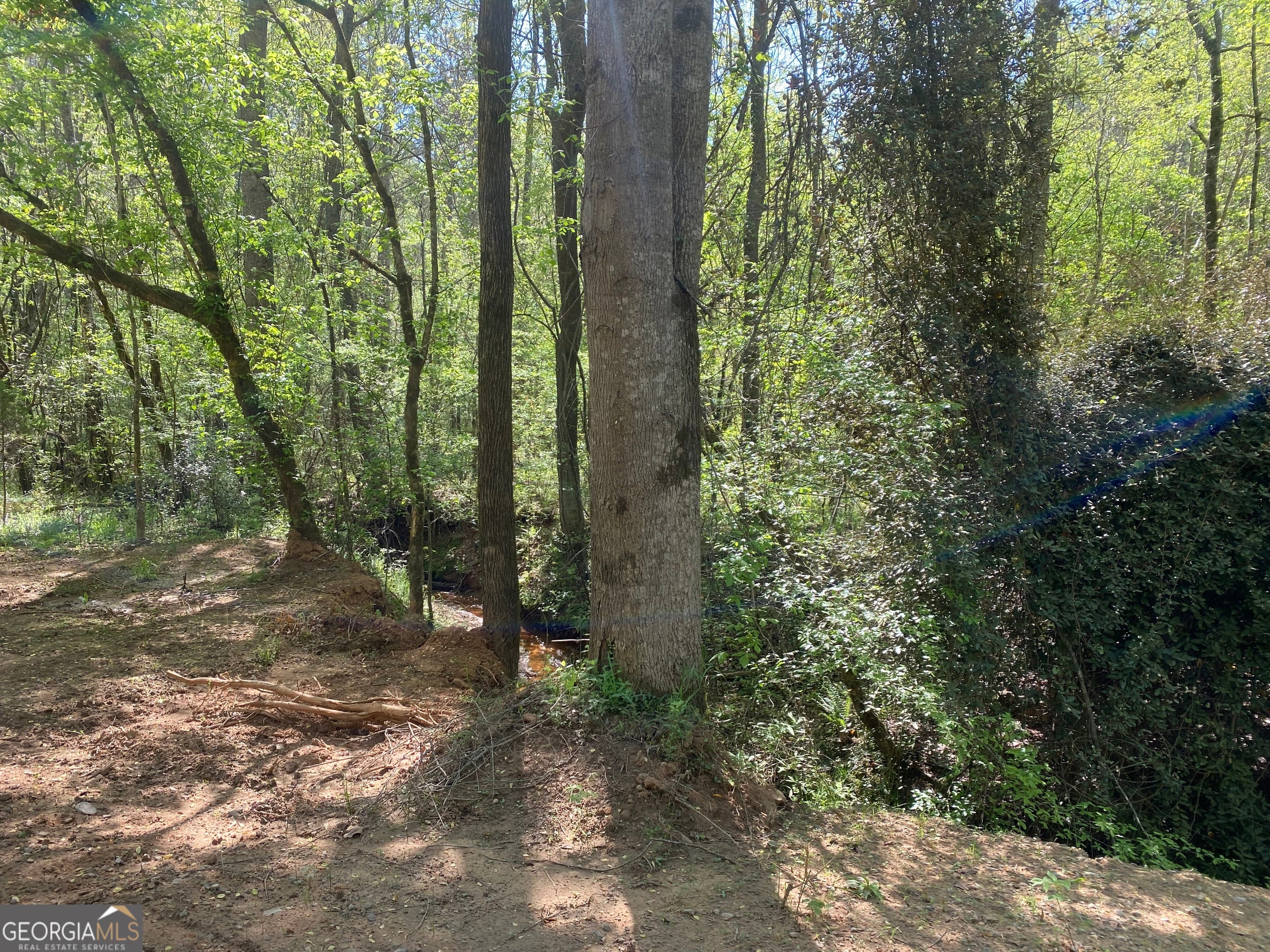 Forsyth, Georgia, 31029, United States, ,Land,For Sale,1907989