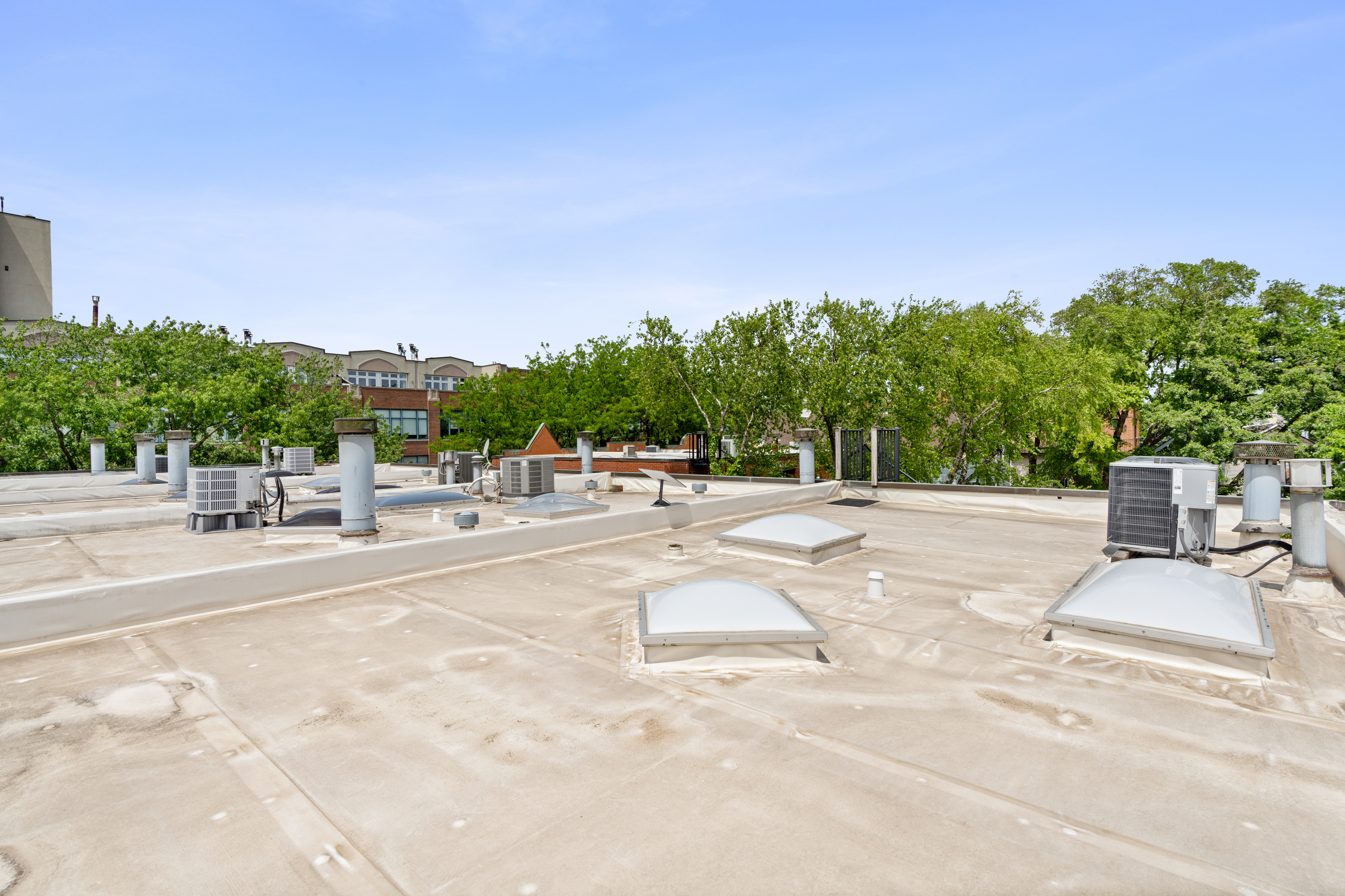  Exquisitely Renovated Lincoln Park Townhome - 物件實景