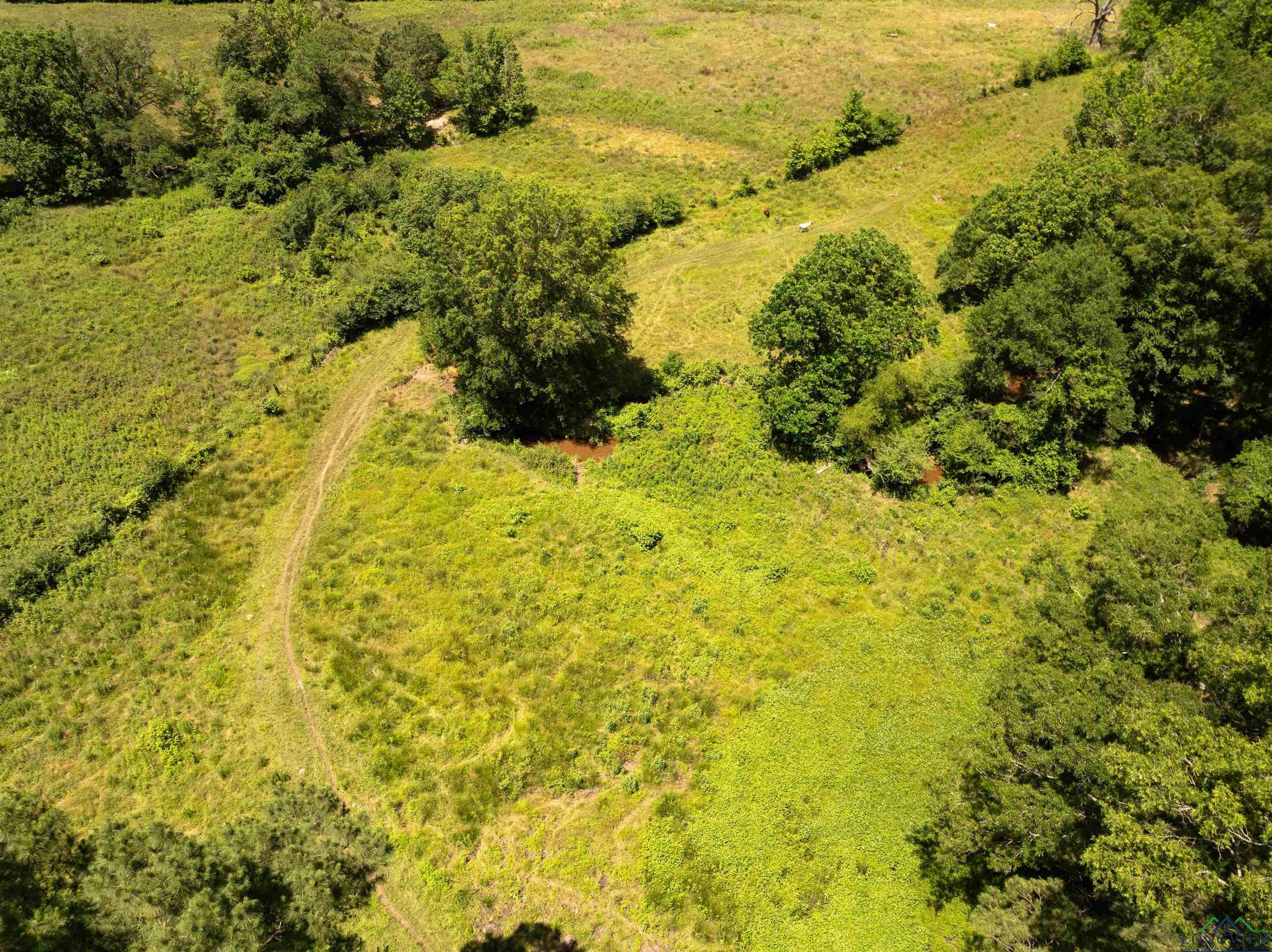 7557 FM 248, Lodi, Texas, 75564, United States, ,Residential,For Sale,7557 FM 248,1614560