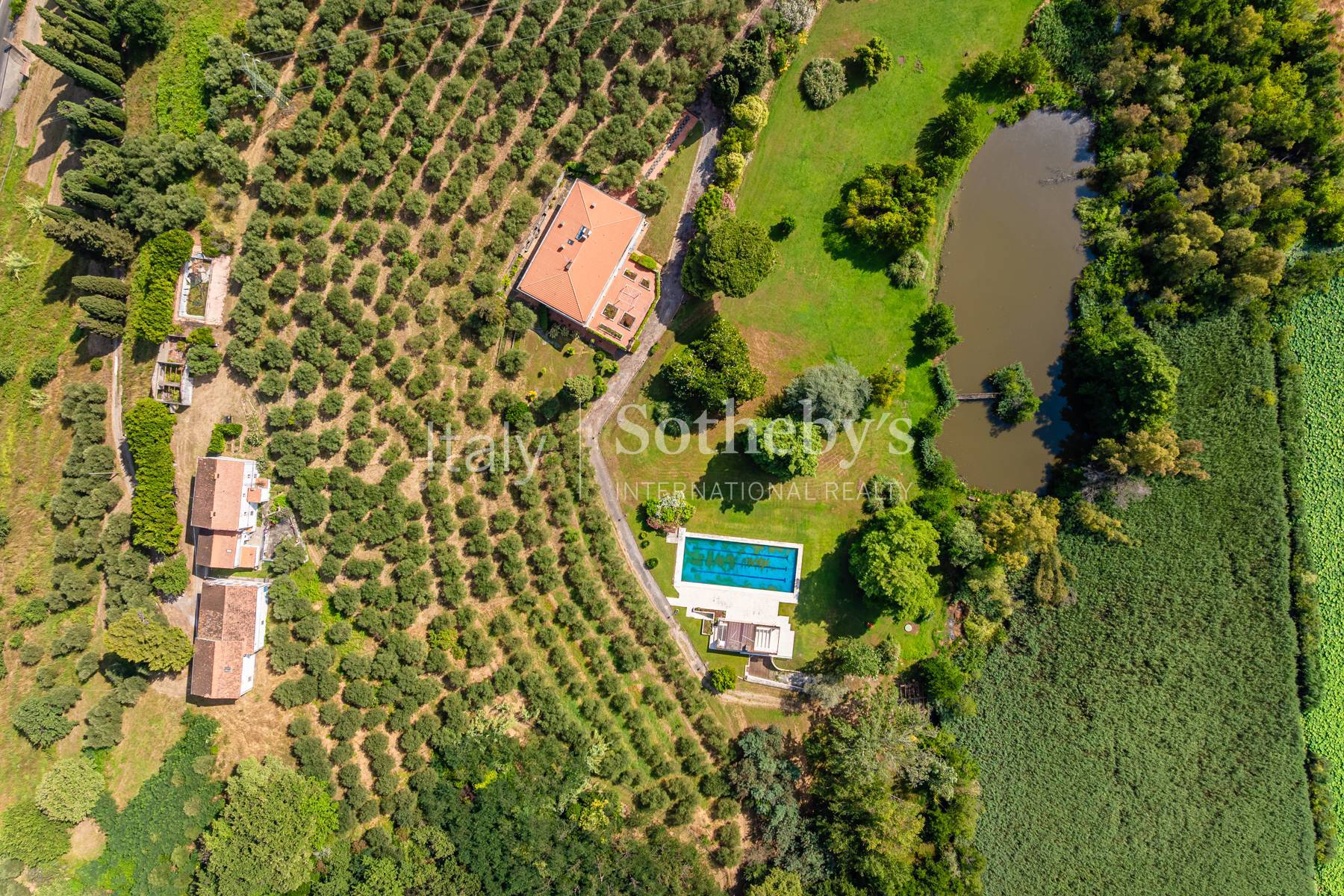  Elegant Tuscan Villa with pool, pond and dépandance - 物件實景