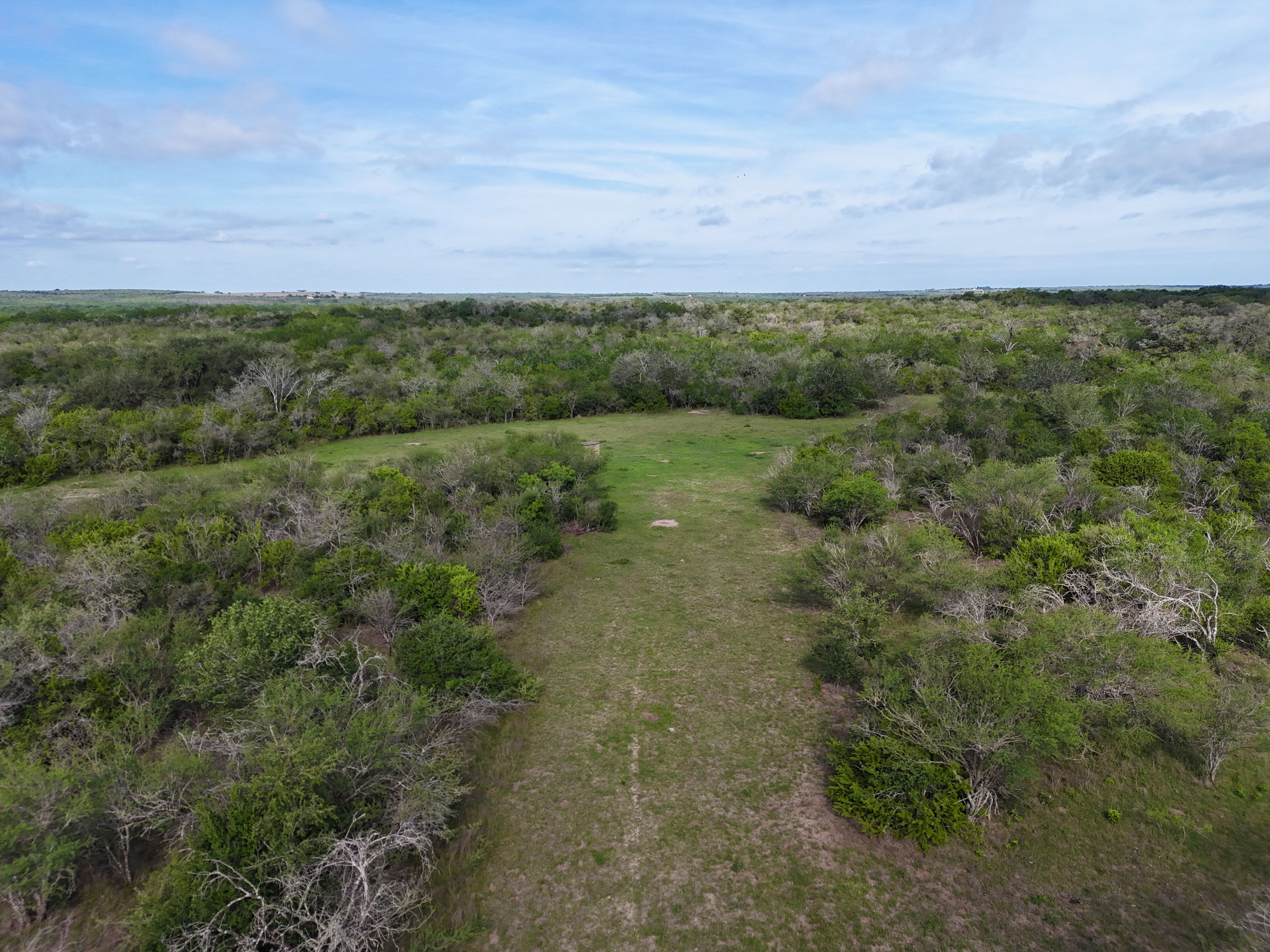  810+/- Acre Cabeza Creek Ranch - 物件實景