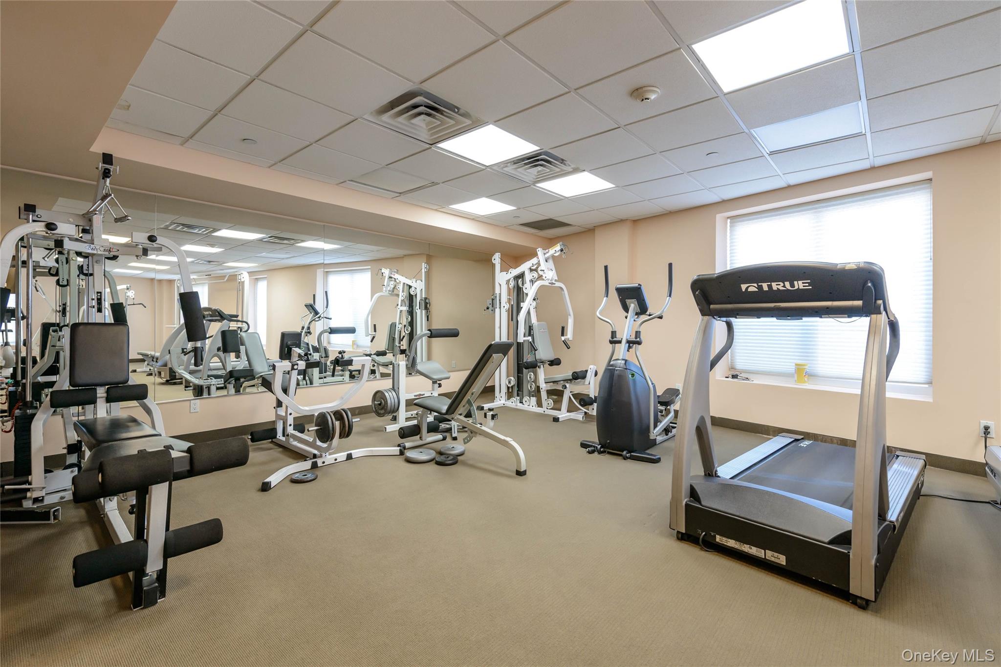  242 Maple Avenue, Westbury, NY, 11590 - 物件實景