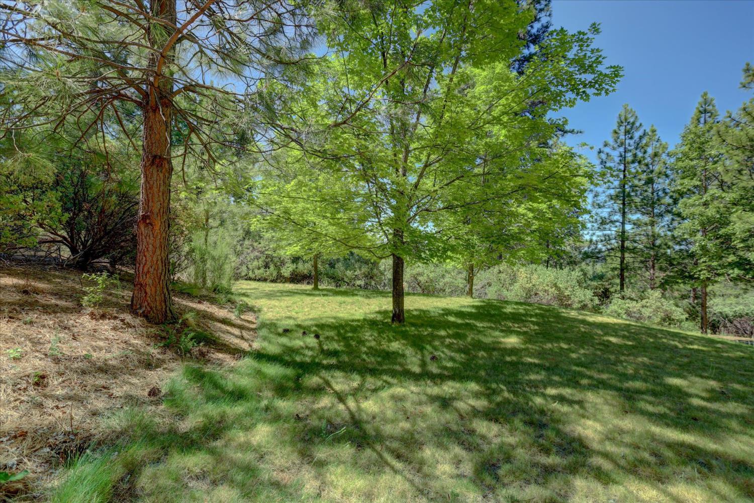 Nevada City, California, 95959, United States, 3 Bedrooms Bedrooms, ,3 BathroomsBathrooms,Residential,For Sale,1928446