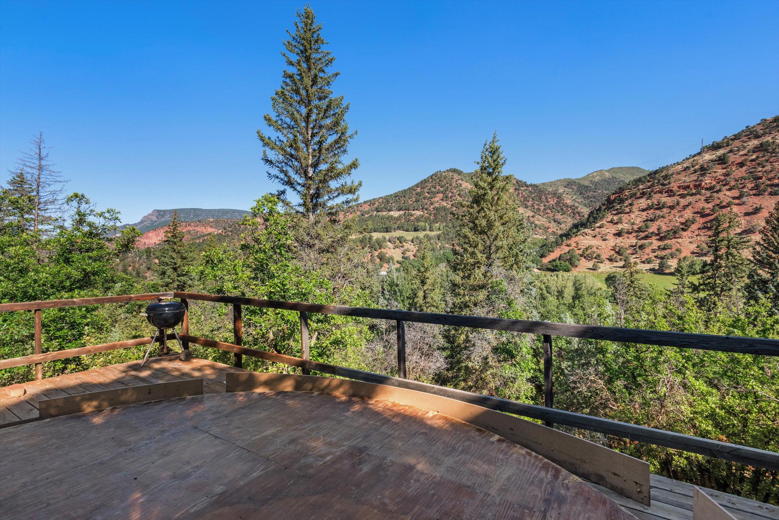  768 Kings Lake Road, Basalt, CO 81621 - 物件實景