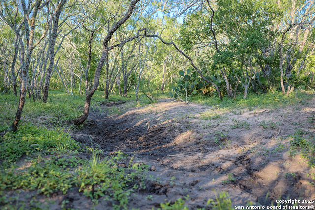 Beeville, Texas, 78102, United States, ,Land,For Sale,1942121