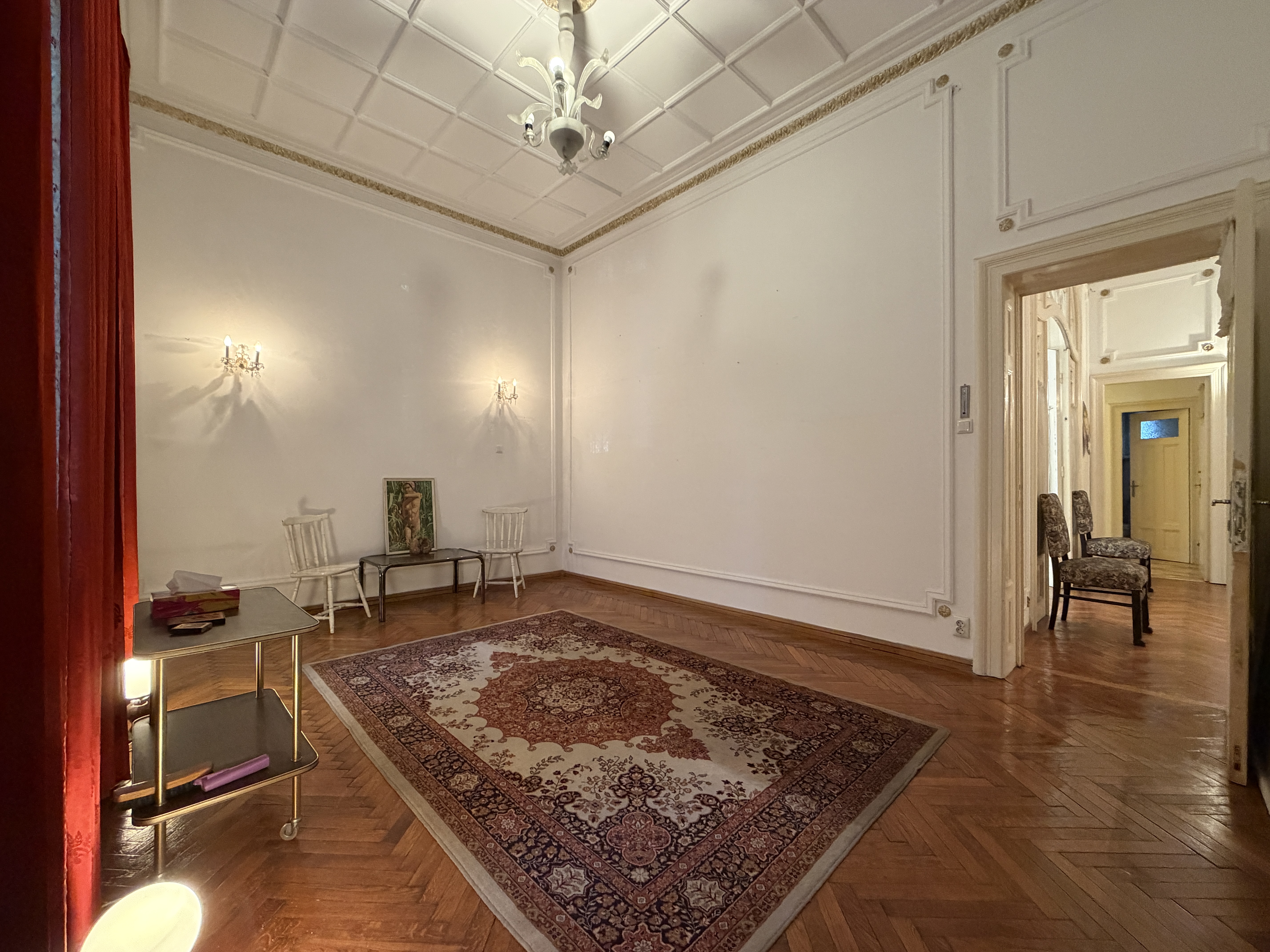  A Collector’s Residence on Kiseleff – The Architectural Legacy of Burcu & Marcu - 物件實景