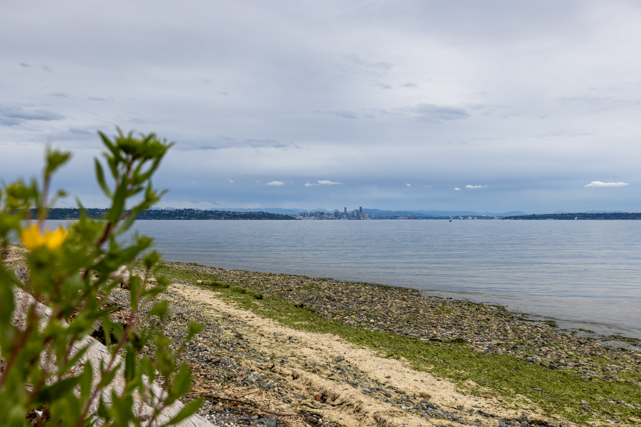  Lot A Bucsit Lane Northeast, Bainbridge Island, WA 98110 - 物件實景