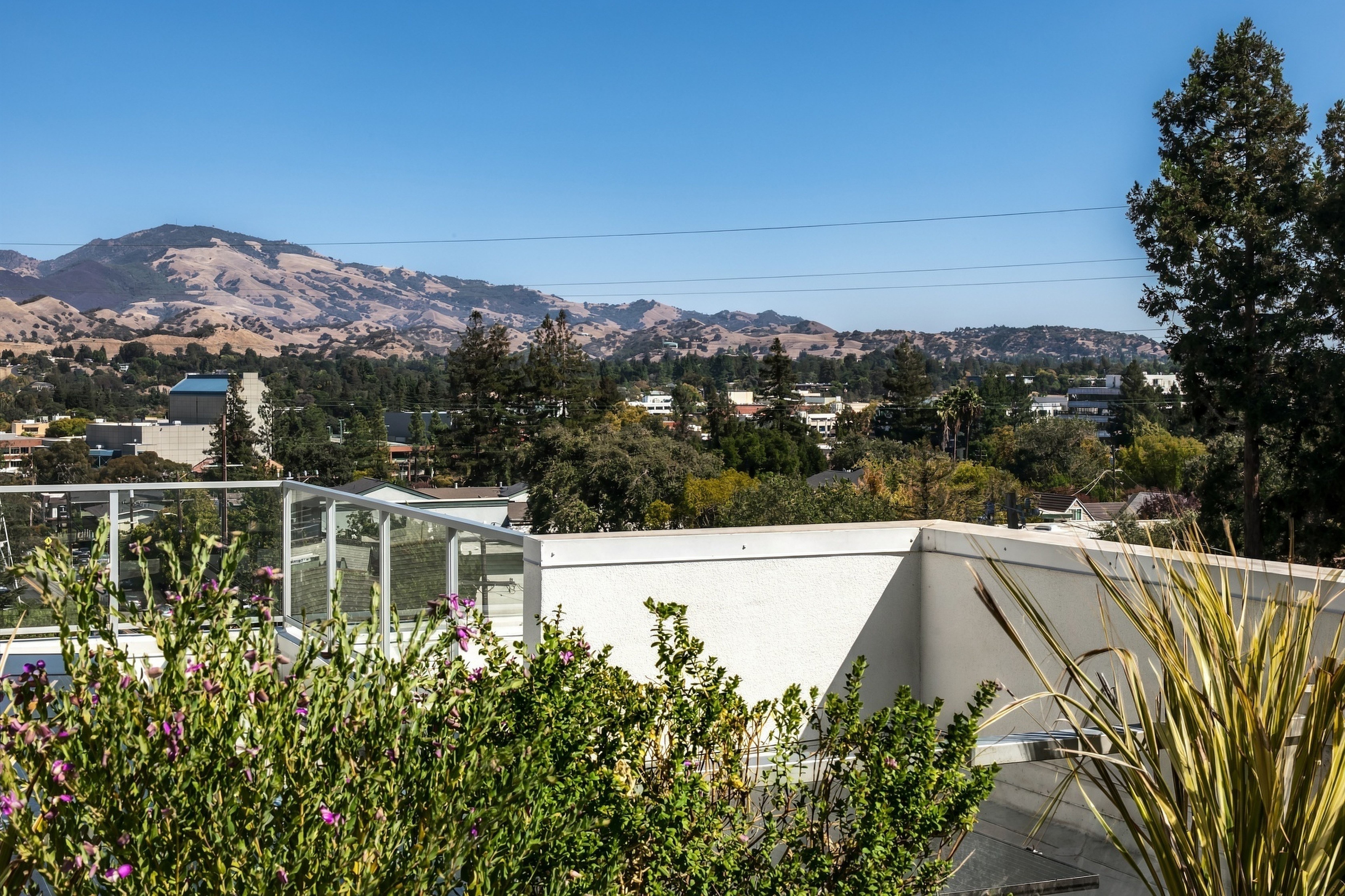  Penthouse Living Above Walnut Creek - 物件實景