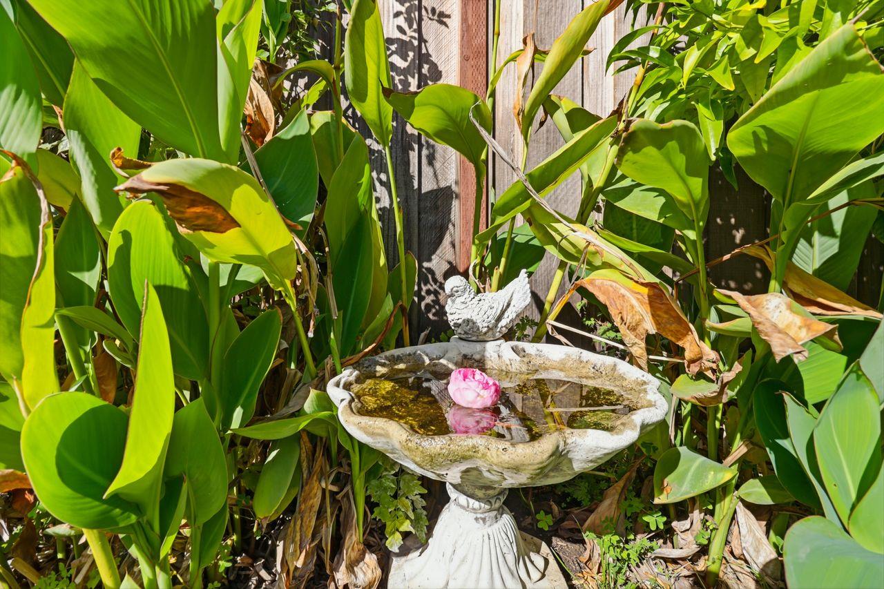 Belmont, California, 94002, United States, 3 Bedrooms Bedrooms, ,1 BathroomBathrooms,Residential,For Sale,1989201