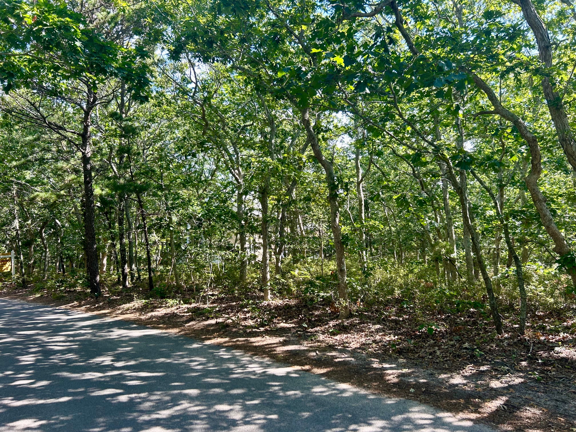  Land in Edgartown - 物件實景